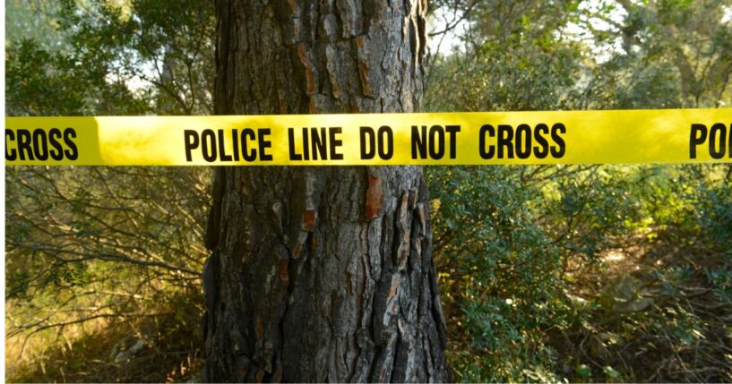 The suspect was reportedly playing with the shadow thrown by his tree-grappling equipment and failed to notice how close it was to the coworker.