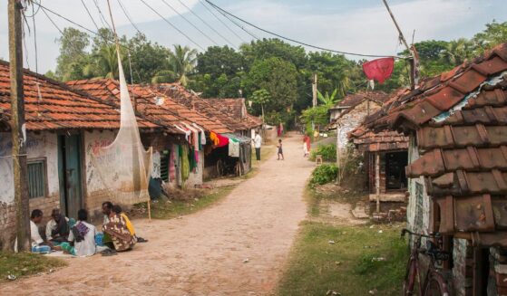 Diamond Harbour, India, on Nov. 16, 2013.
