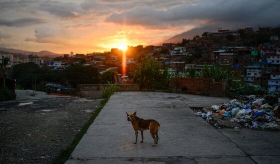 A dog barks in the Petare neighborhood in Caracas, Venezuela, on July 22, 2019, as the capital and other parts of Venezuela are being hit by a massive power cut.