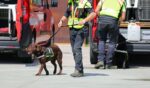A K-9 unit during an emergency.