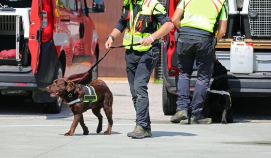 A K-9 unit during an emergency.