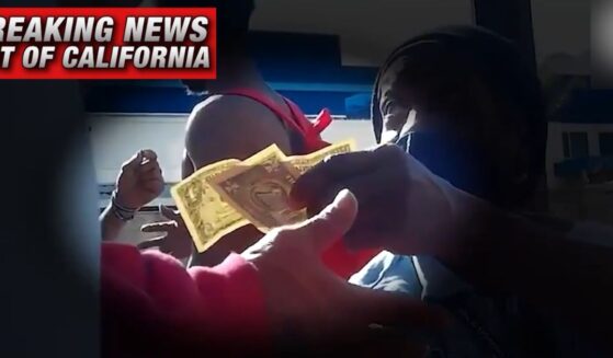 Video by independent investigative journalist James O'Keefe depicted homeless people being paid to sign petitions in support of ballot initiatives using stolen identities of registered voters.