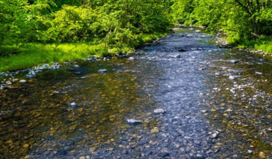 A river in Warren County, New Jersey is pictured.