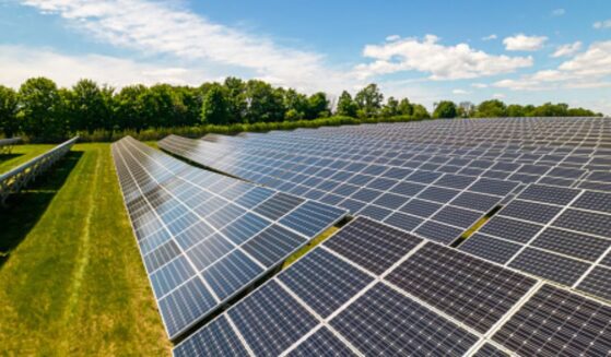 Solar panels in an open field are pictured.