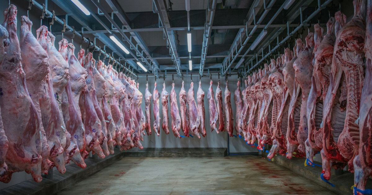 Department of Agriculture’s Food Safety and Inspection Service did not offer details about how meat with a fake inspection number was distributed.
