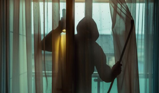 A burglar forces his way inside an apartment.