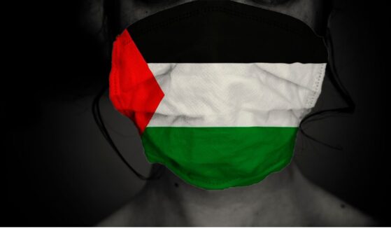 The woman presented herself for years as a Palestinian activist, but she turned out to be a white Jewish woman with relatives in Israel.