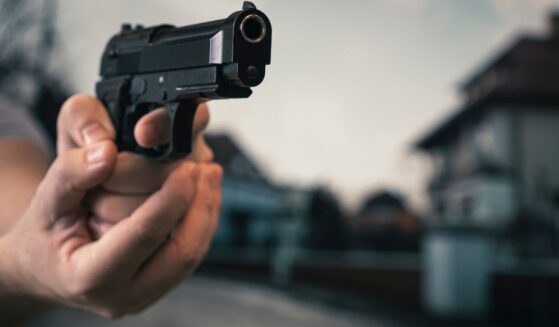 The homeowner said the intruder fled after being shot, leaving behind his dog.