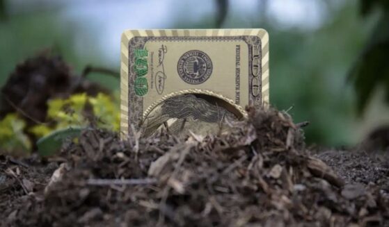 For almost two years, every dollar you send can actually hit the debt.
