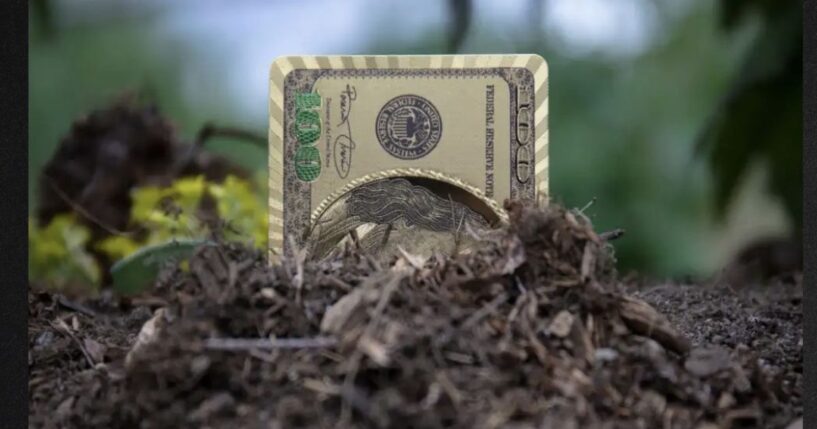 For almost two years, every dollar you send can actually hit the debt.