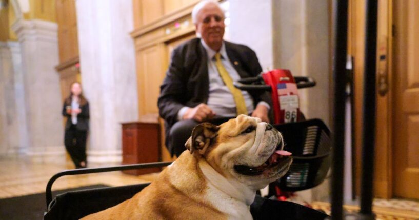 Sen. Jim Justice moves through the hallway with his English bulldog, Babydog, after going to the Senate Chambers to vote in the U.S. Capitol on Feb. 27, 2025, in Washington, D.C.