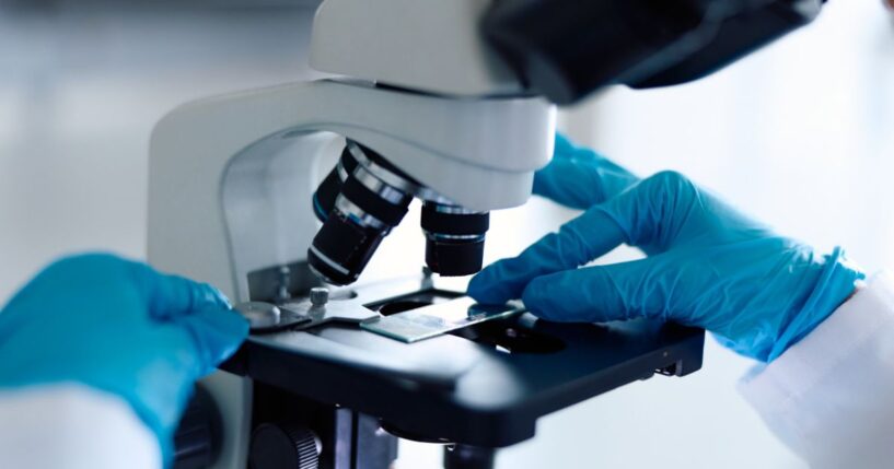 A scientist in a white lab coat and blue gloves carefully placing a sample slide under a microscope.