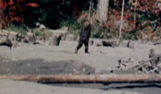 The classic Bigfoot footage was reportedly fabricated, according to a new documentary.