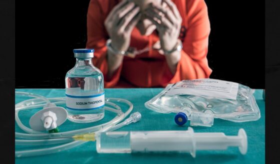 Christa Pike was supposed to be executed Wednesday after being convicted of a 1995 murder, but despite being given the lethal injection drug pentobarbital, she did not die.