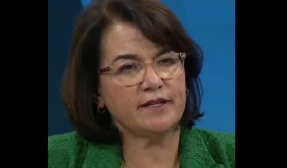 Democratic Congressional candidate Eileen Laubacher in a debate Monday.