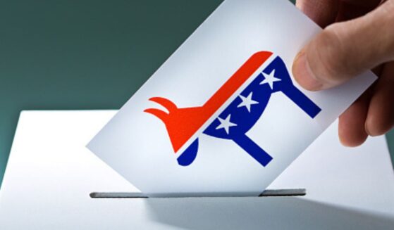 A person puts a ballot with a Democratic donkey symbol into a ballot box.